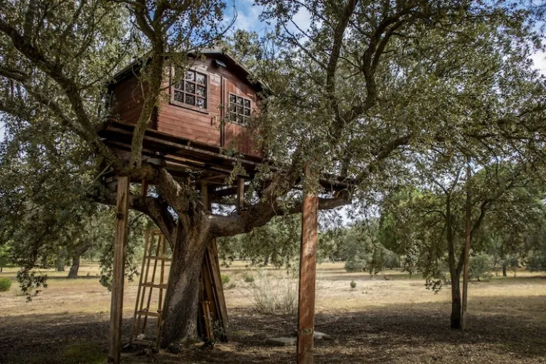 tree house