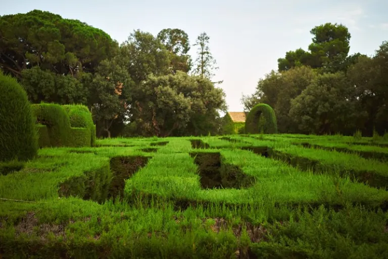 maze gardens